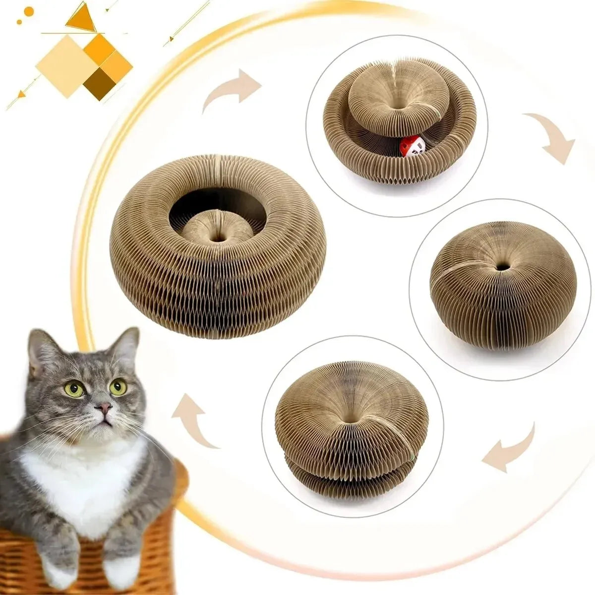 From anxious to adventurous – the PurrLift way