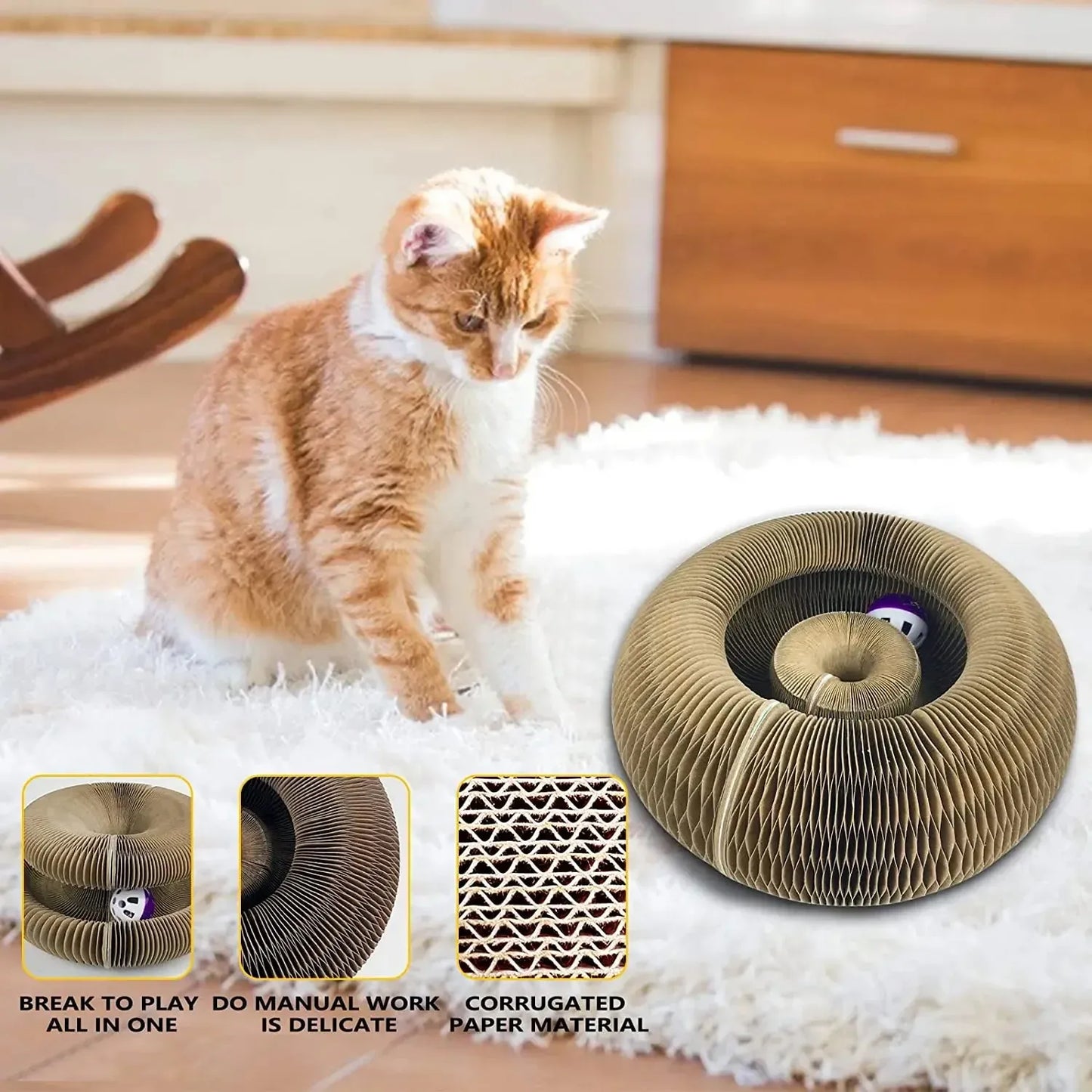 From anxious to adventurous – the PurrLift way