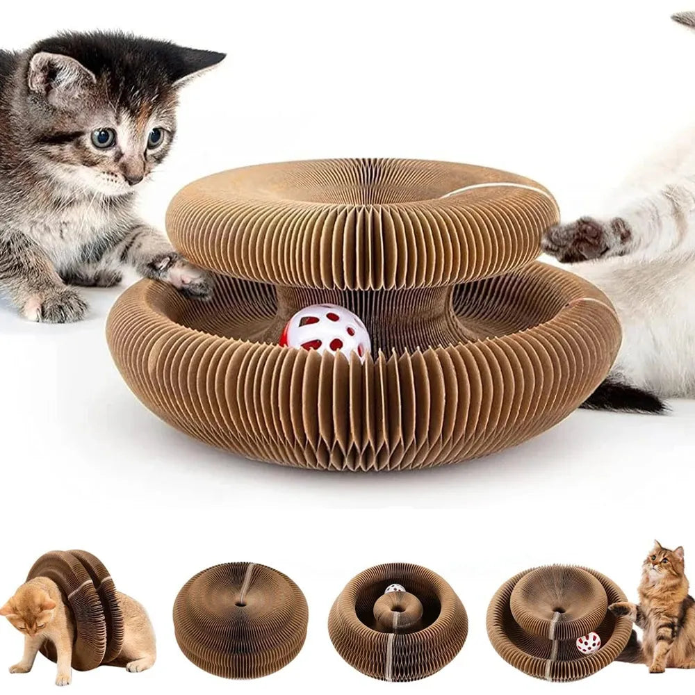 From anxious to adventurous – the PurrLift way