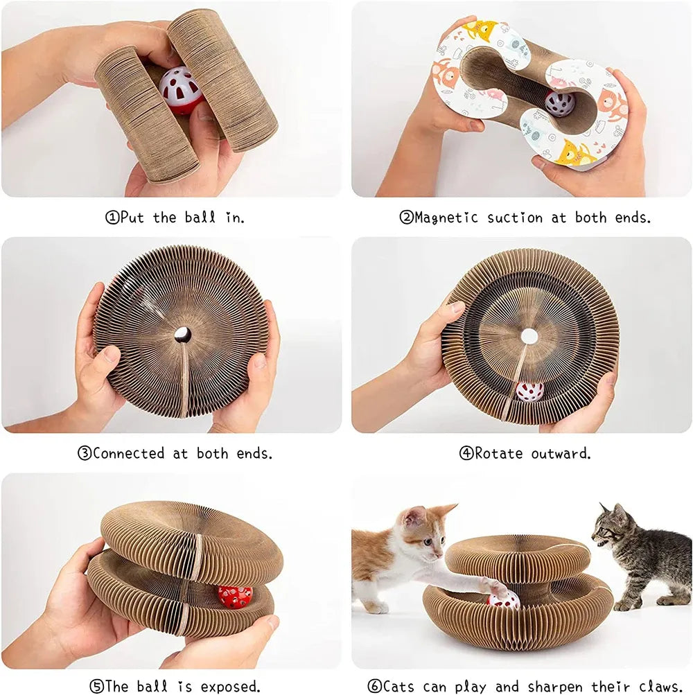 From anxious to adventurous – the PurrLift way