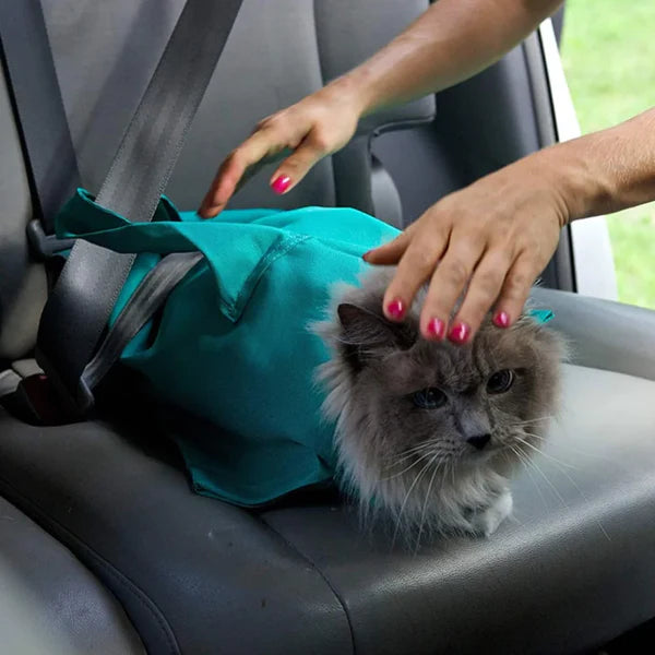 Buy 1 Get 1 Free: Cat Carrier Pouch