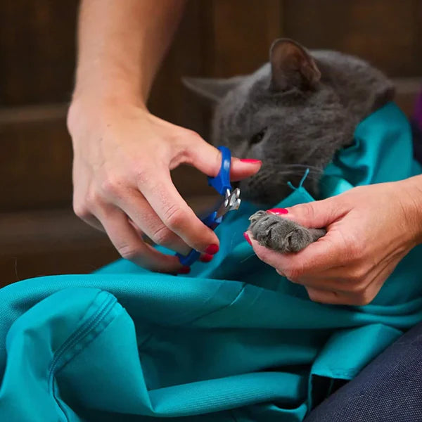 Buy 1 Get 1 Free: Cat Carrier Pouch