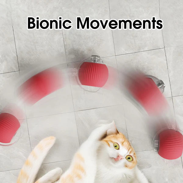Eptchn smart chase pet toy ball