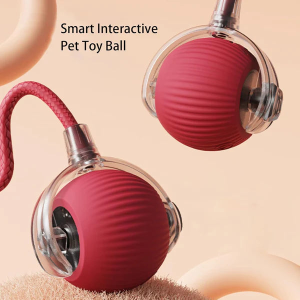 Eptchn smart chase pet toy ball