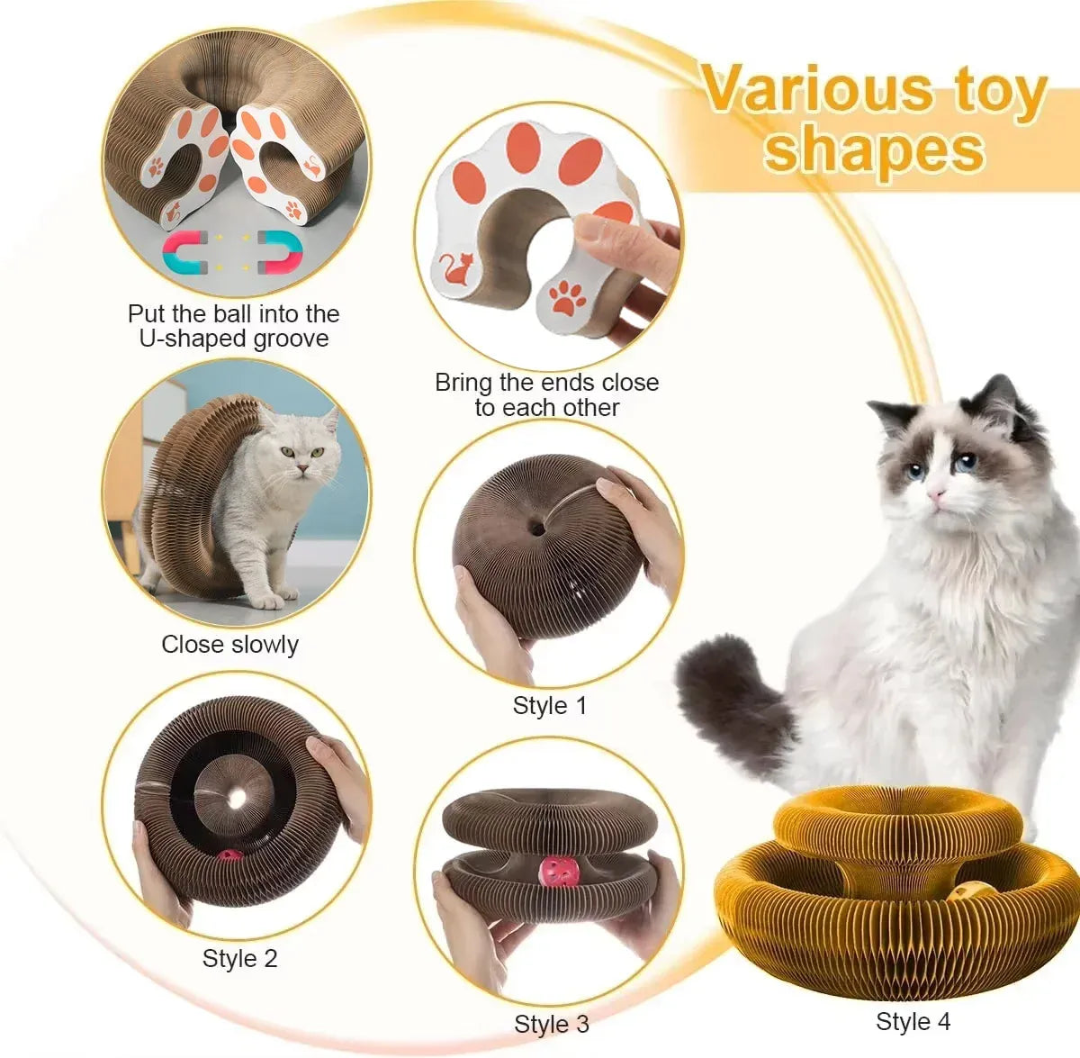 From anxious to adventurous – the PurrLift way