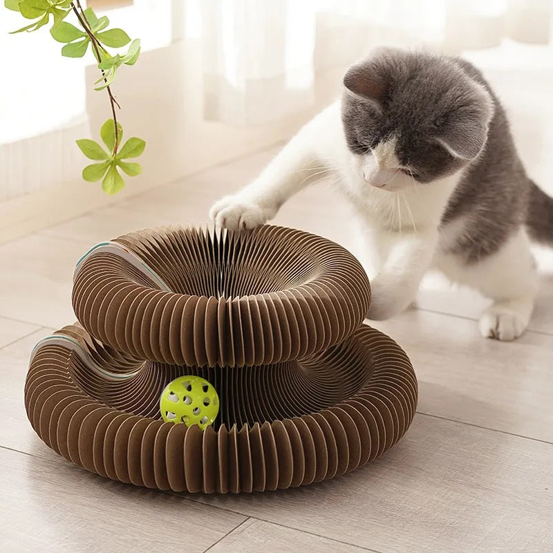 From anxious to adventurous – the PurrLift way