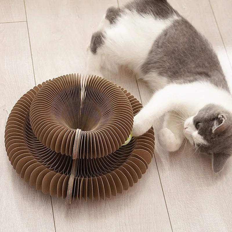 From anxious to adventurous – the PurrLift way