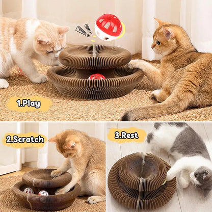 From anxious to adventurous – the PurrLift way