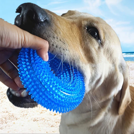 Dog Chew