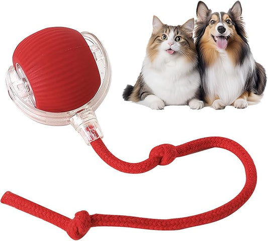 Eptchn smart chase pet toy ball