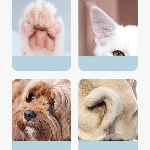 Silent LED Pet Grooming Trimmer