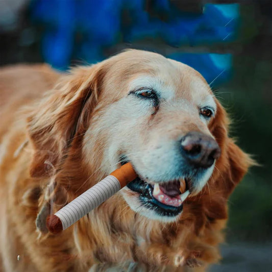 Cuddle Ciggy Plush Cigarette Dog Toy Set
