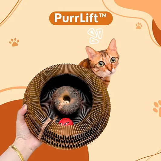 PurrLift™ – Where Every Claw Finds Joy