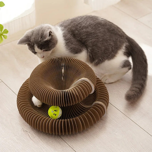 From anxious to adventurous – the PurrLift way