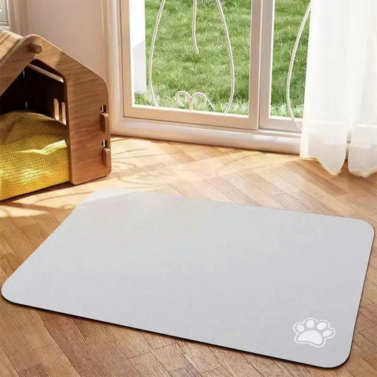 AquaGuard Mat – Absorbent, Quick Dry, Always Clean